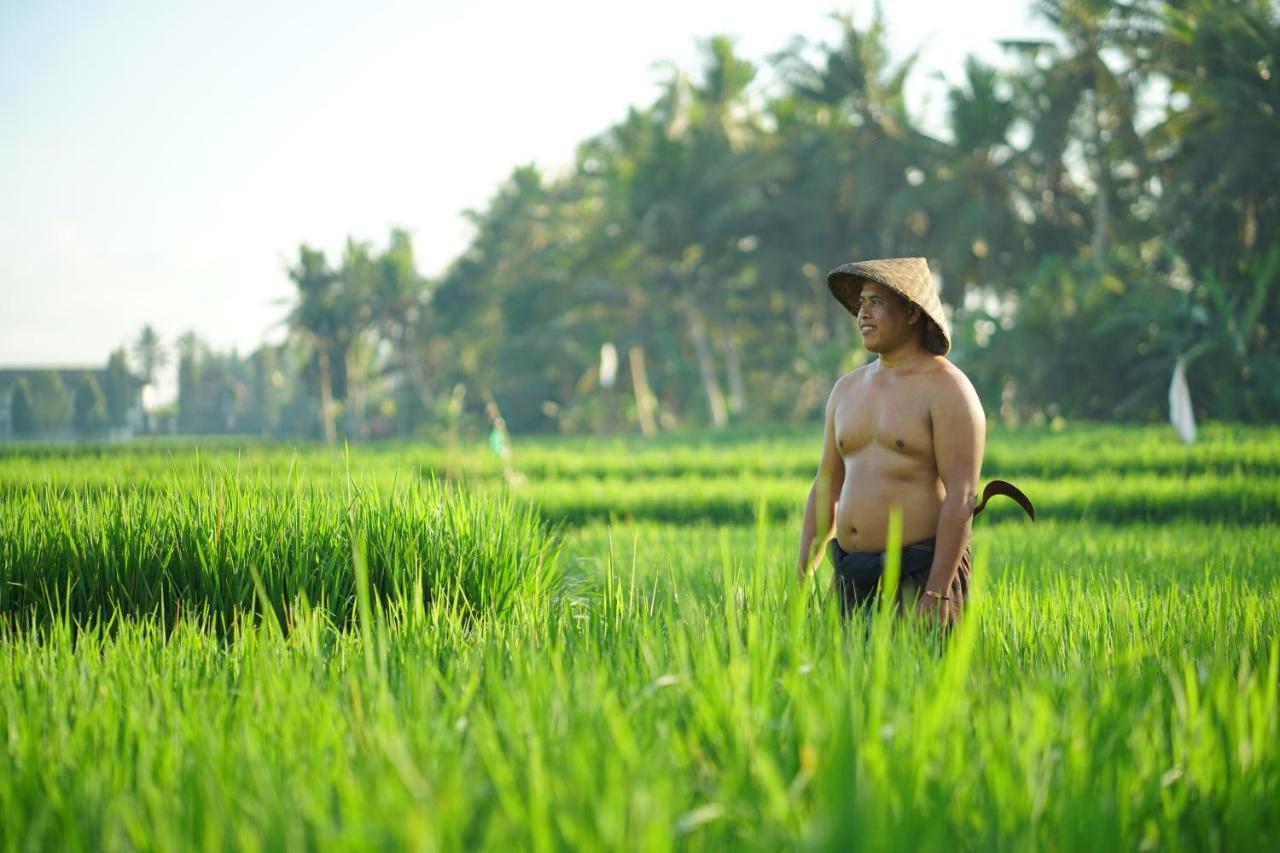 Asri Sari Villa Ubud Εξωτερικό φωτογραφία