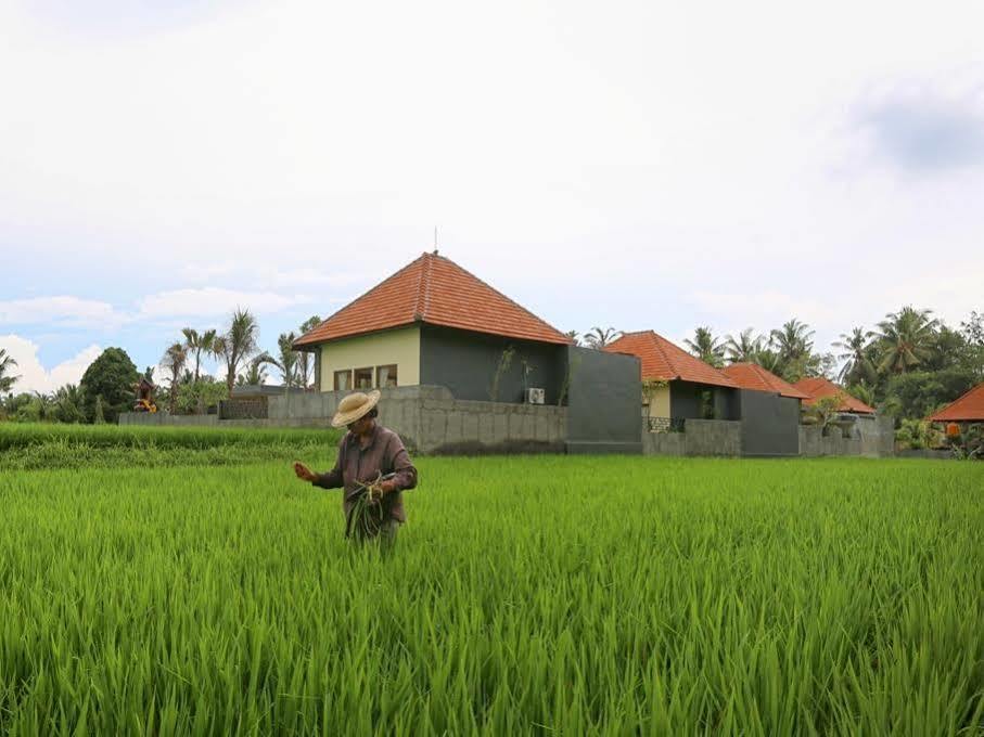 Asri Sari Villa Ubud Εξωτερικό φωτογραφία